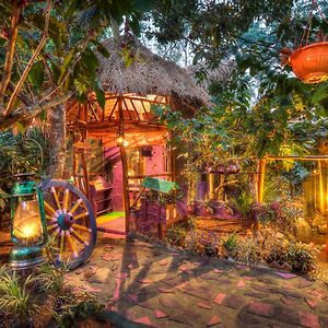 Family Cottage